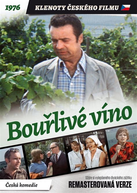 Plagát k filmu Bouřlivé víno