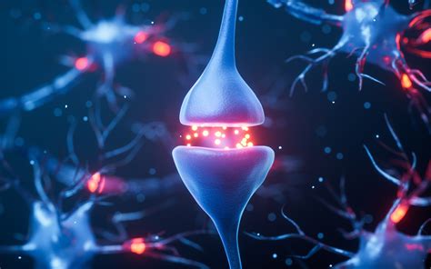 Infografika zobrazujúca vplyv alkoholu na neurotransmitery v mozgu