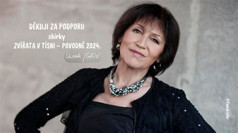 Ilustrácia symbolizujúca pomoc a podporu