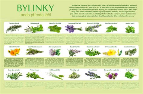 Zloženie Jägermeistera - bylinky