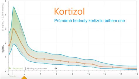 Diagram zobrazujúci hladiny testosterónu a kortizolu