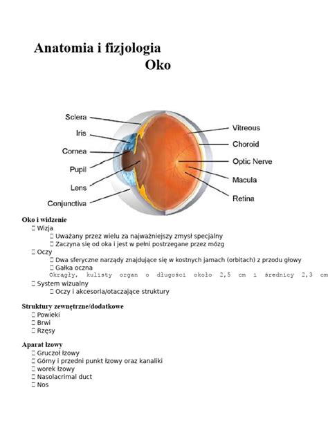 Anatomia oka a okolia