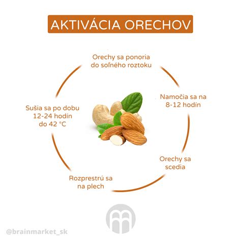 Infografika zobrazujúca zloženie zelených orechov a ich liečivé účinky