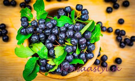 Rozdrvené plody arónie a čiernych ríbezlí
