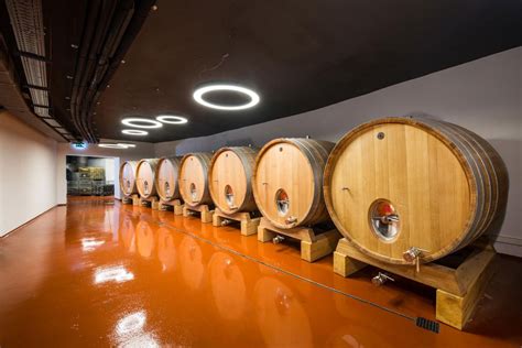 Rozľahlé vinohrady v Strekovskom vinohradníckom rajóne