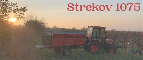 Symbolické číslo 1075 na fľaši vína Strekov 1075