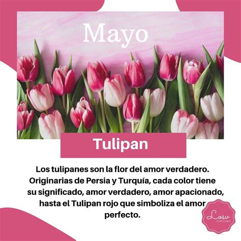 Ilustrácia pohára typu tulipán