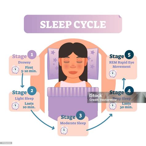 Infografika zobrazujúca cyklus spoluzávislosti.