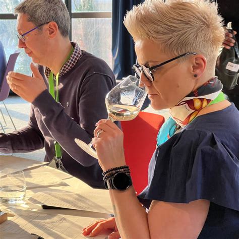 Medaily a ocenenia na vinárskej súťaži