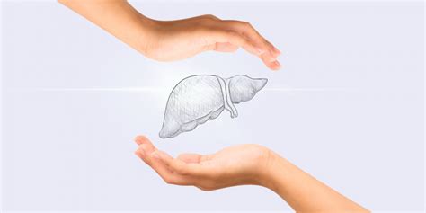 symbolické znázornenie poškodenia pečene