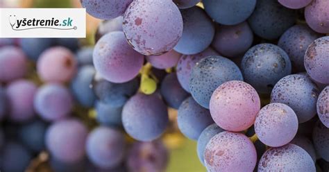 Rozmanité tvary hroznových bobúľ