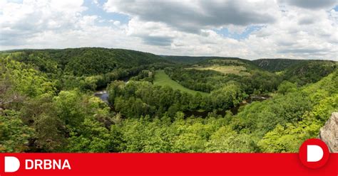 Rozmanité druhy pív Svijany