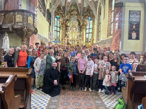 Fotografia obce Pavlov s vinicami v pozadí