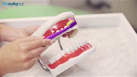 Obrázok znázorňujúci správnu techniku čistenia zubov, medzizubných priestorov a jazyka.