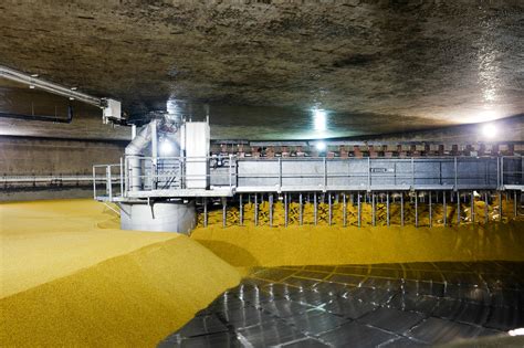 Proces sušenia sladu v sladovni