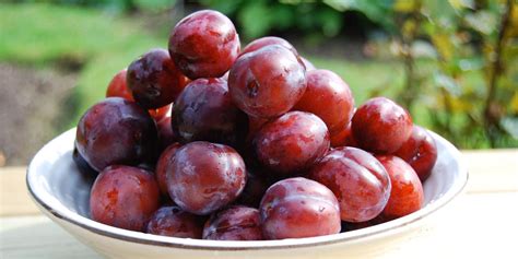 Rôzne odrody zrelých sliviek