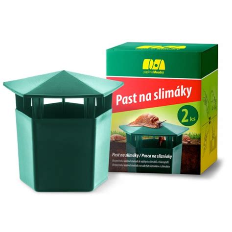 Pasca na slimáky z piva