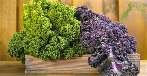 Zelenina, ktorá má rada pivo vs. tá, ktorej sa treba vyhnúť