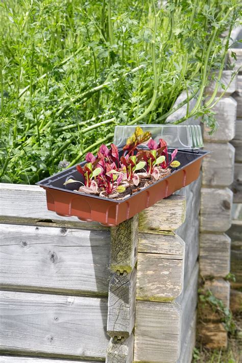 Ilustrácia znázorňujúca rôzne formy liekov, vrátane tabliet a injekčných striekačiek