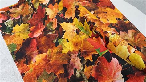 Jesenné lístie a vreckovka