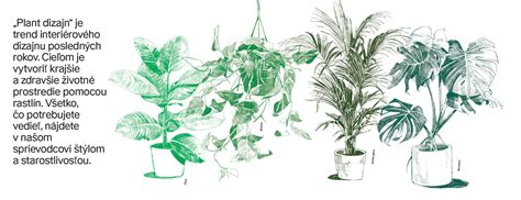 Ilustrácia rôznych druhov konope a chmeľu