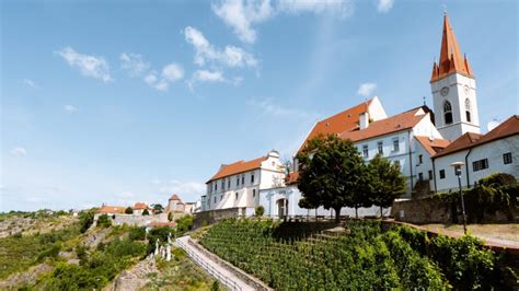 Vinohrady v okolí Zelenca