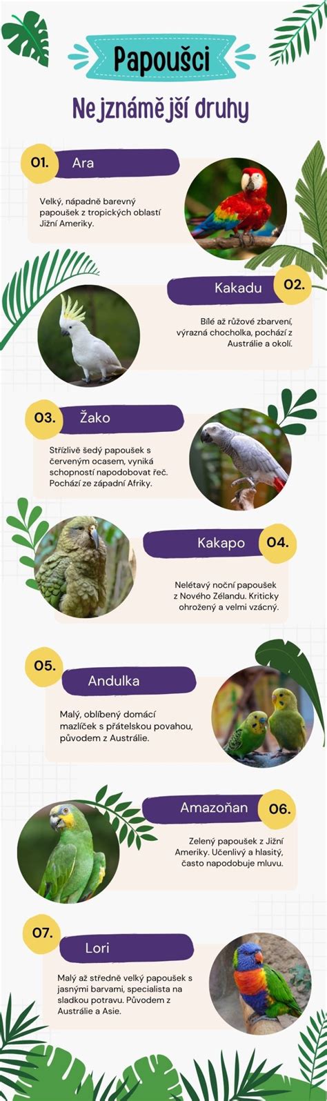 Infografika porovnávajúca druhy tequily