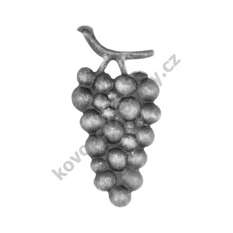 Vinný hrozen na vinici