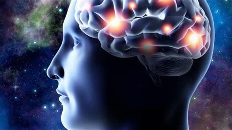 Ilustrácia mozgu so zvýraznenými oblasťami poškodenými alkoholom