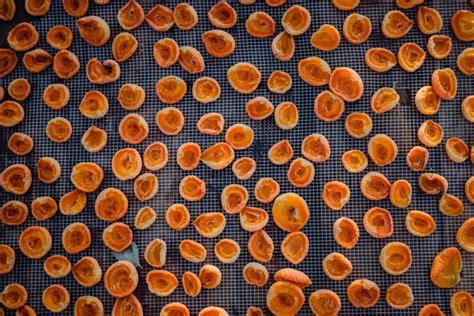 Sušenie sladu v hvozde