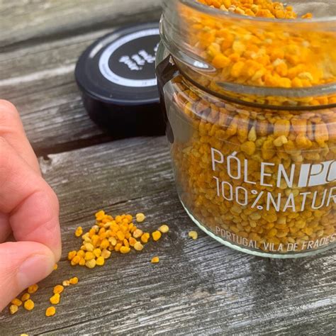 Štruktúra sójového zrna