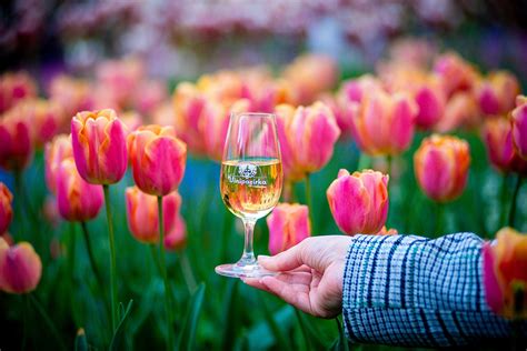 Logo Medzinárodnej organizácie pre vinič a víno (OIV)