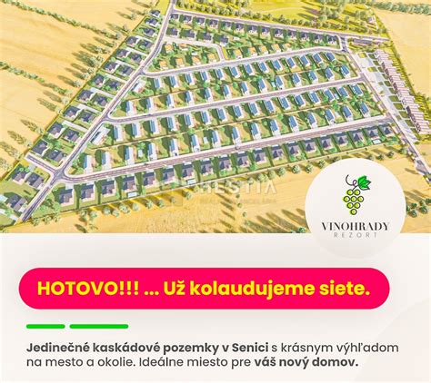 Zvlnené vinohrady v lokalite Pannonia