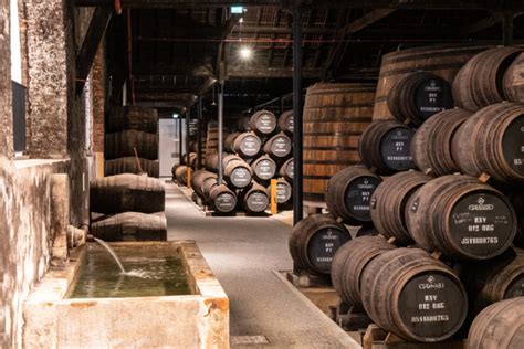 Ilustrácia znázorňujúca rôzne sudy s rumom a master blendera