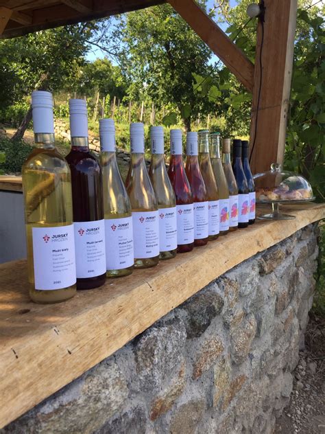 pole viníc s ružovým vínom