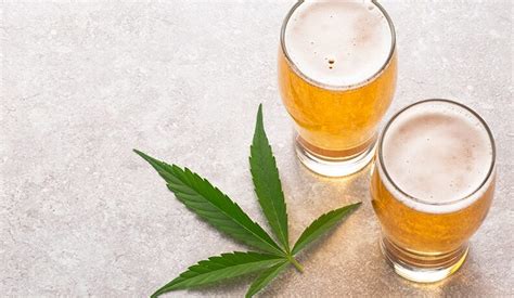 symbolická znázornění alkoholu a marihuany s varovným křížem