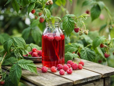 Čerstvé maliny pripravené na spracovanie