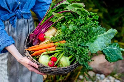 Obrázok rôznych druhov ovocia a zeleniny, ktoré sú vhodné pri kocovine