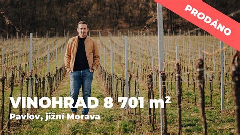 Vinohrad na Záhorí