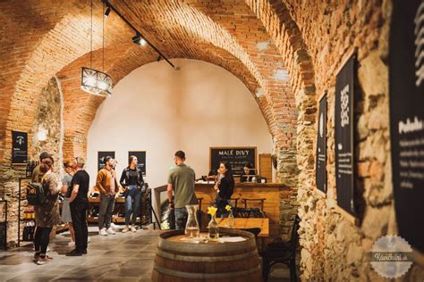 Ilustrácia pivnice s nádobami na víno