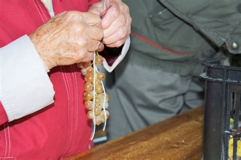 Hroznové strapce pripravené na lisovanie