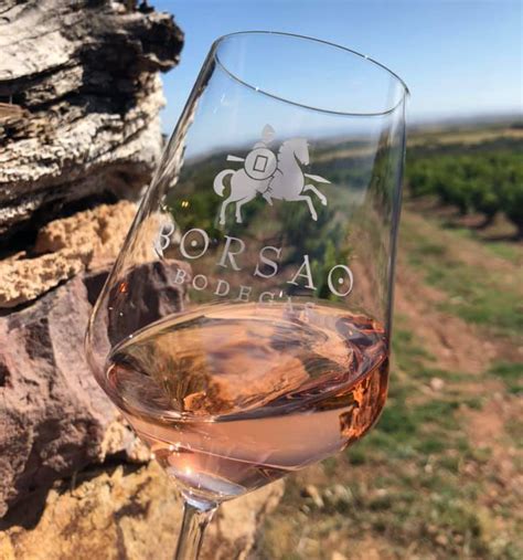 Ružové víno v pohári s vinicou v pozadí