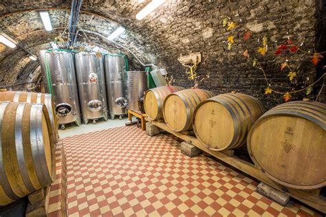 Historická vínna pivnica kaštieľa