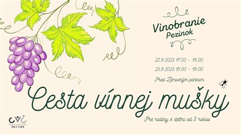 Ilustrácia vínnej etikety s označenými dôležitými informáciami