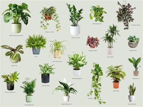 Ilustrácia skladovania alkoholu v chladnej a tmavej miestnosti