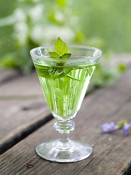 Bylinkový likér v pohári