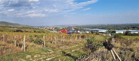 Vinohrad nad Svätým Jurom