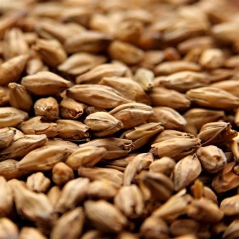 Chmeľové šišky a jačmenný slad