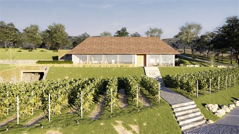 penzión obklopený vinohradmi