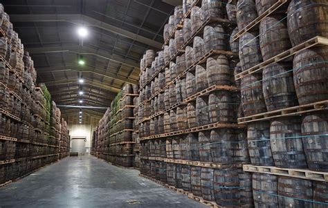 Sudy z amerického bieleho duba